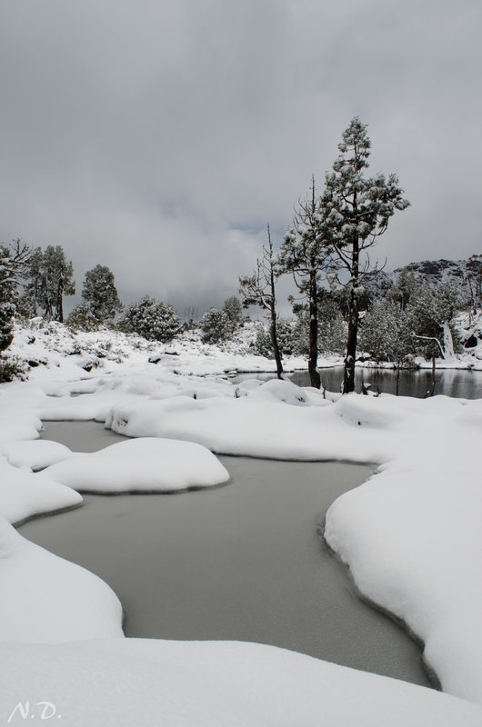 DSC_3140-233.JPG