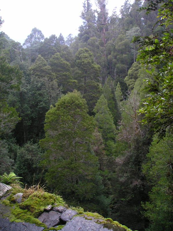Marriots Falls view from top.jpg