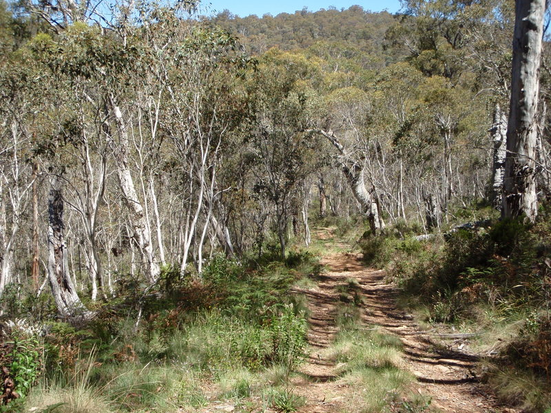 PC290457.JPG