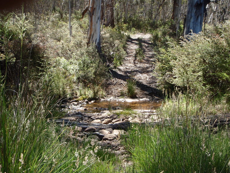 PC290458.JPG