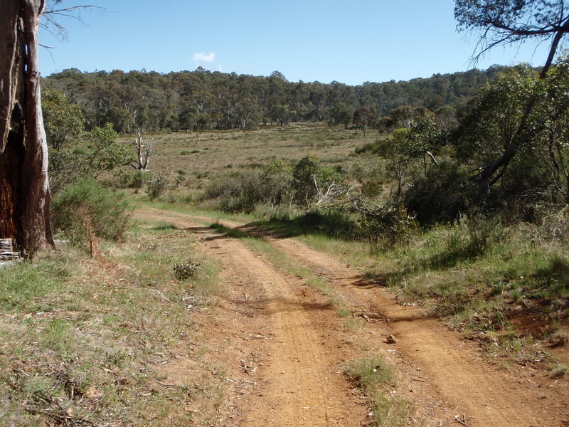 PC300472.JPG