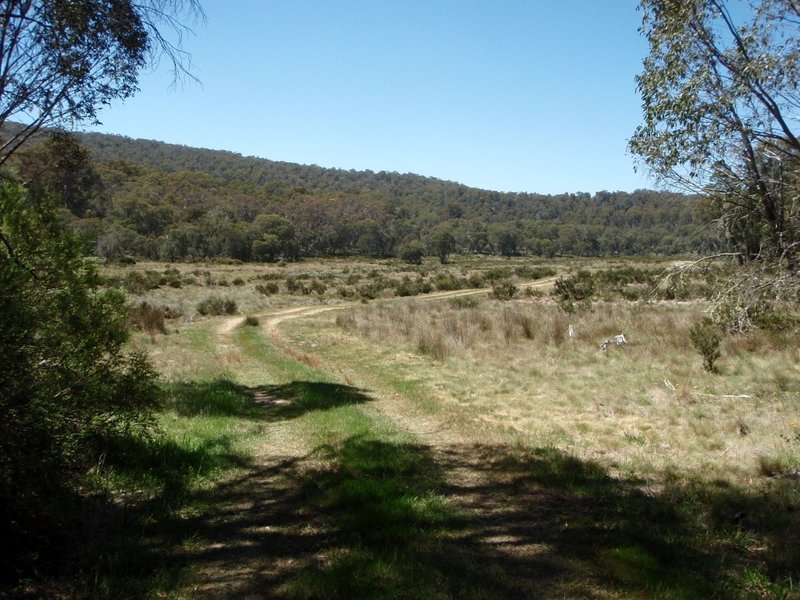 PC300478 (Medium).JPG