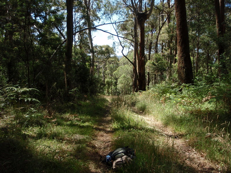 PC300481.JPG