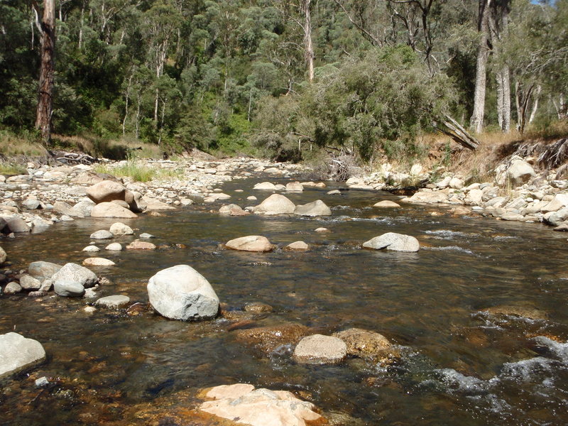 PC300482.JPG