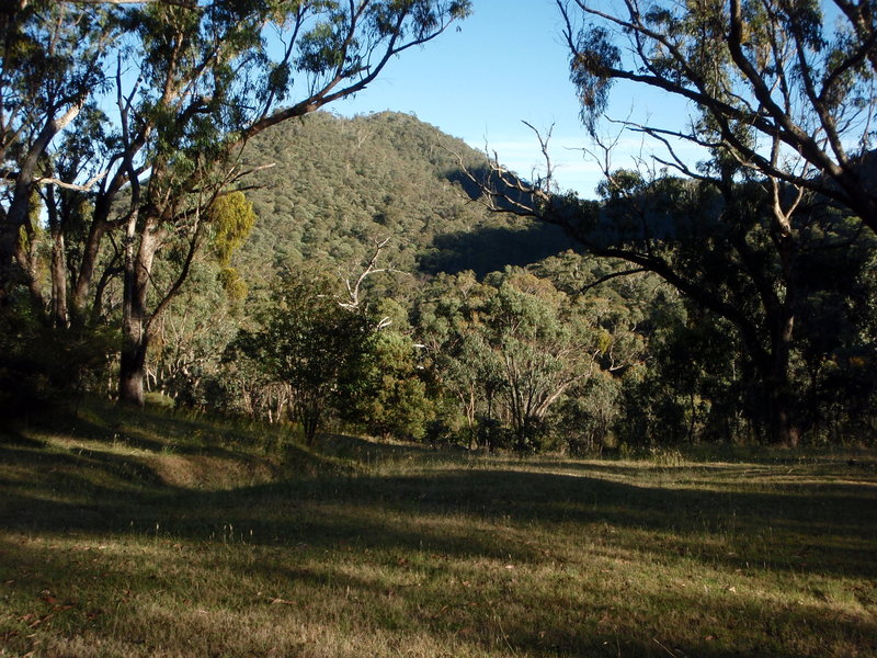 PC310495.JPG