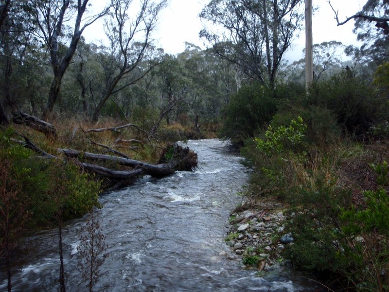 P8230353 (Medium).JPG