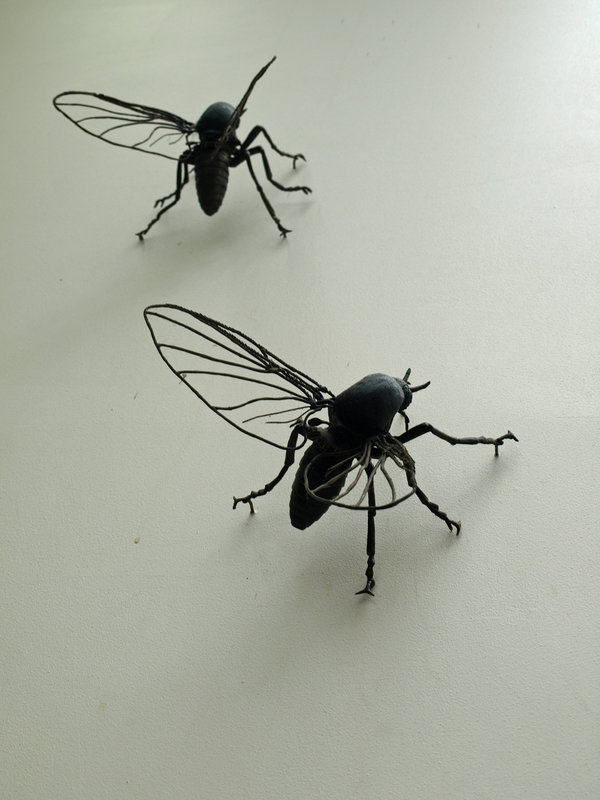 Sandflies.jpg