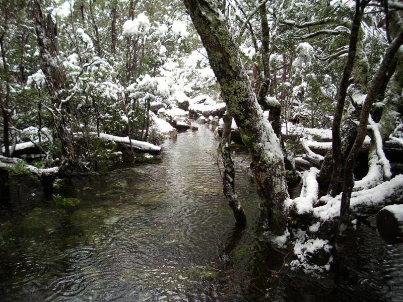 Track flooded near Meander Falls.jpg