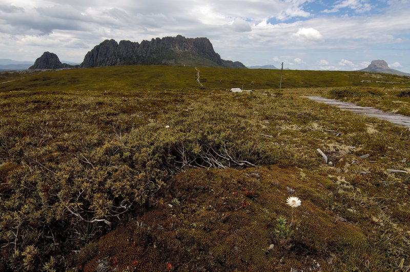 Little Horn, Cradle and Barn Bluff.jpg