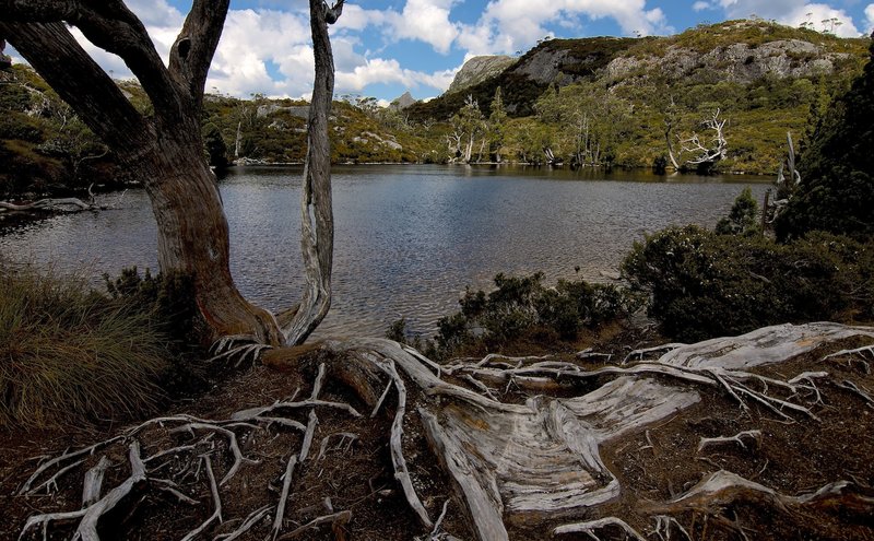 Wombat Pool.jpg