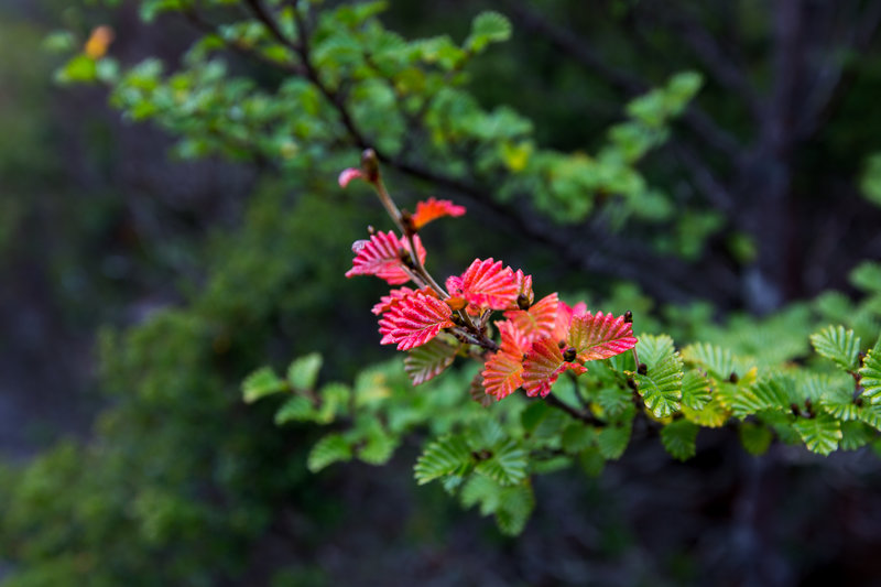 450A5360-Edit.jpg