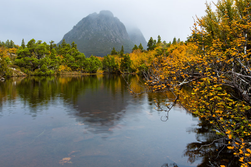 450A5446-Edit.jpg