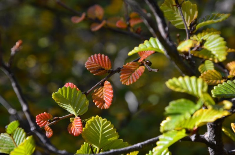 DSC_0489.JPG