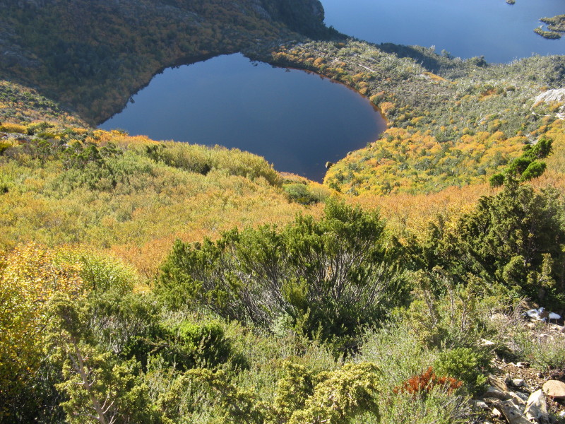 Fagus Lake Wilks.JPG