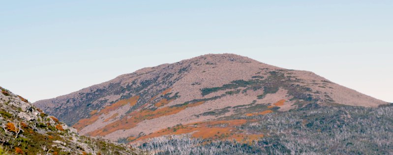 DSC_0241.jpg
