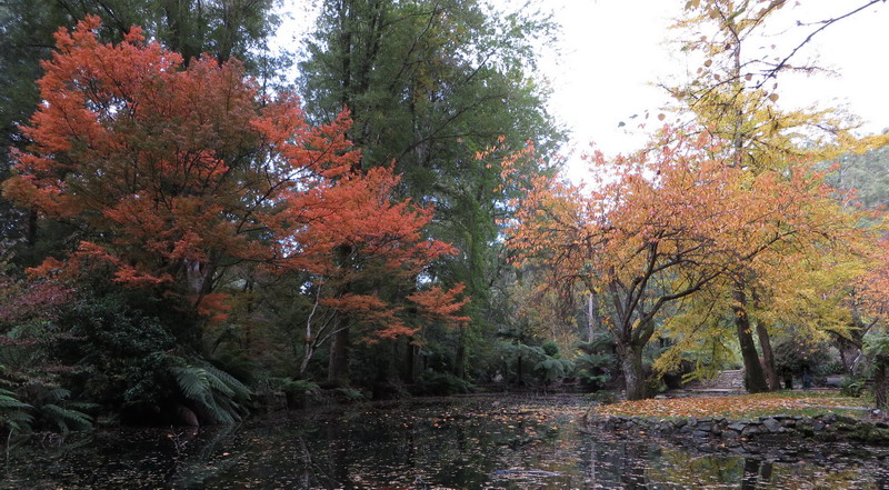 autumn_may_c.jpg