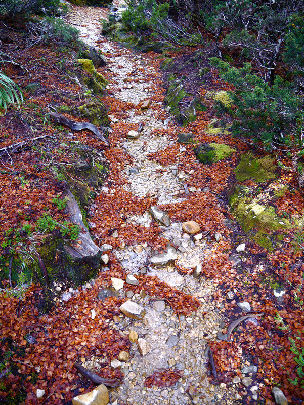 P1070736.jpg