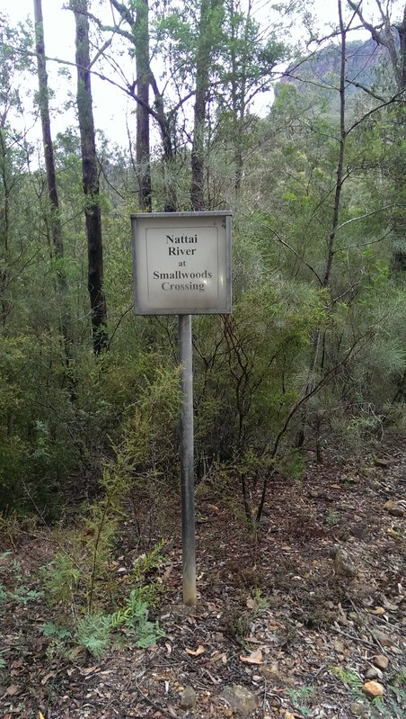 IMAG0306.jpg