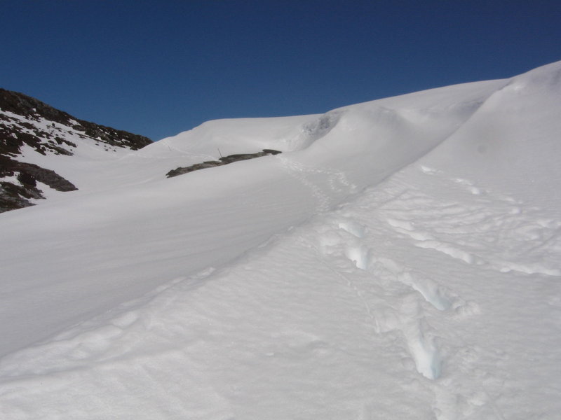 Cradle Mountain 2009 091.jpg