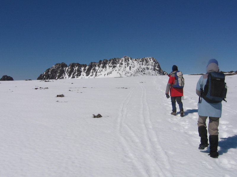 Cradle Mountain 2009 094.jpg