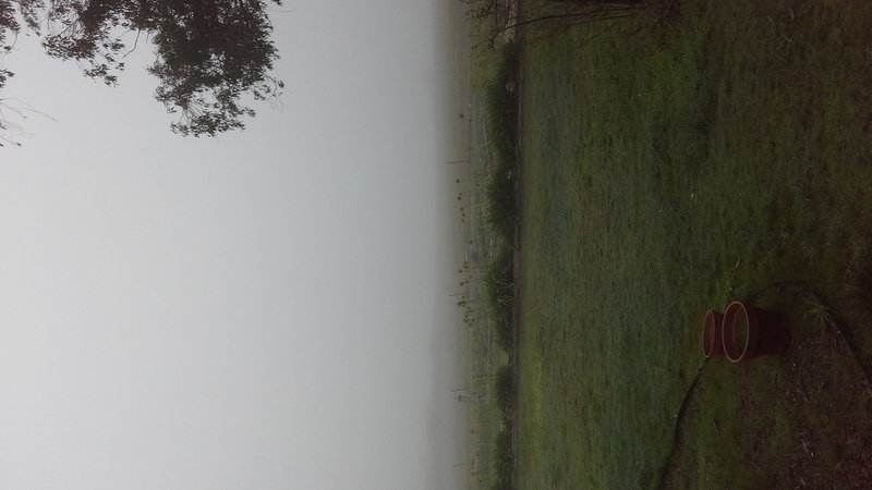 20140614_095737.jpg