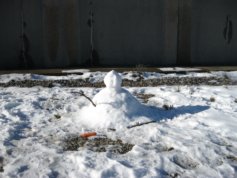 IMG_2697.JPG