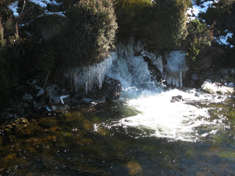 IMG_2685.JPG