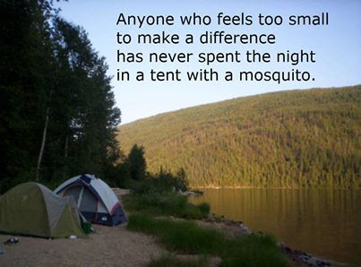 Making a difference - tent and mosquito.jpg