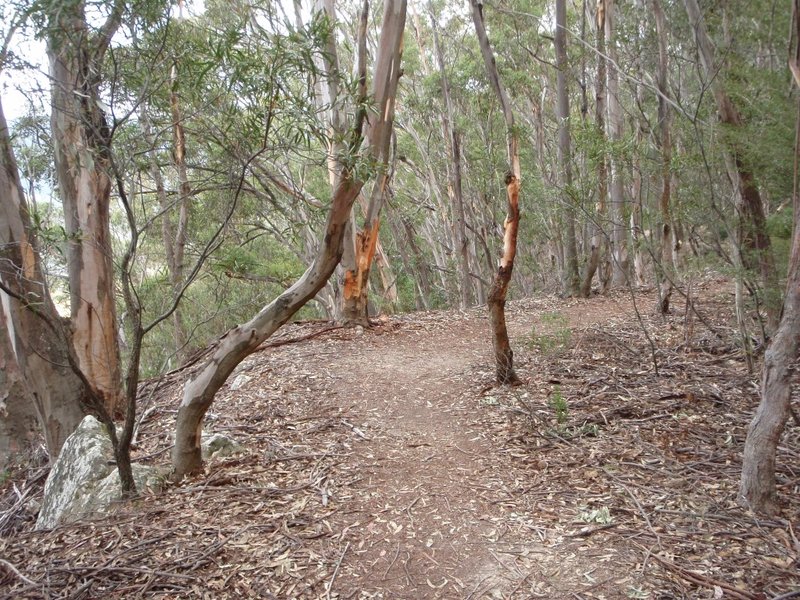 P8130234 (Medium).JPG