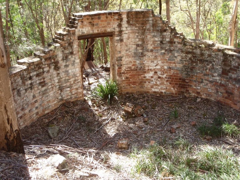 P8140305 (Medium).JPG