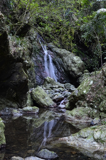 Never Never Creek - tributary (6) (424x640).jpg