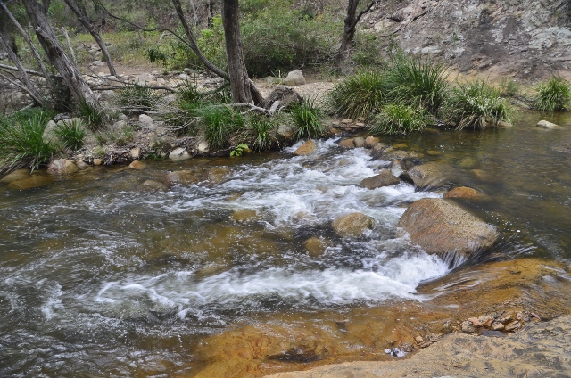 Mount Barney Creek (5).jpg