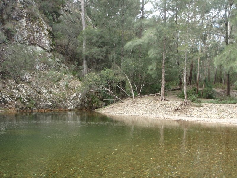 P9240363 (Medium).JPG