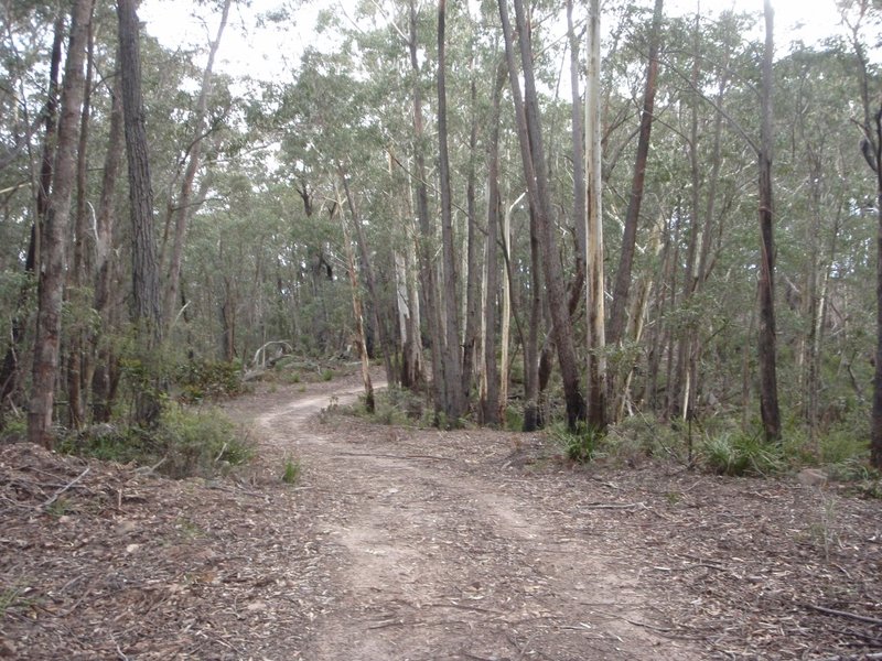 P9250395 (Medium).JPG