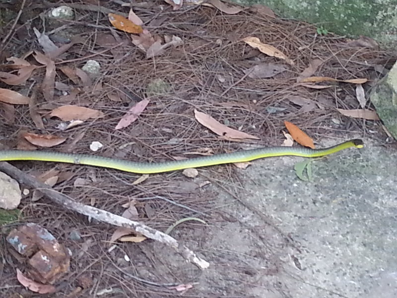 20141006_154054.jpg