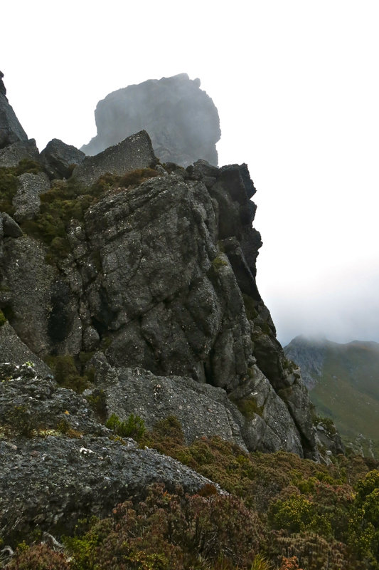 Thumbs 25 descending.jpg