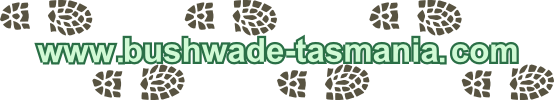 wade_logo.png