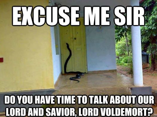 voldemort.jpg