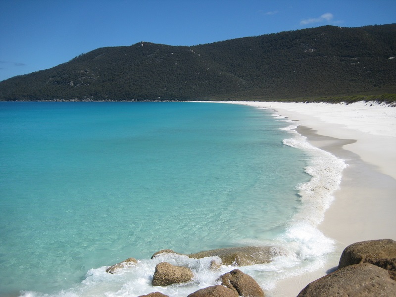 Waterloo Bay.JPG