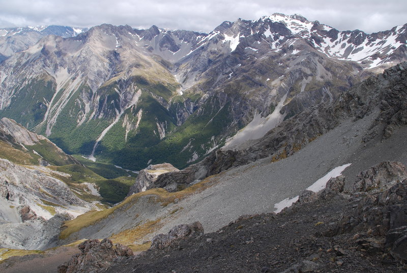 DSC_2229.JPG