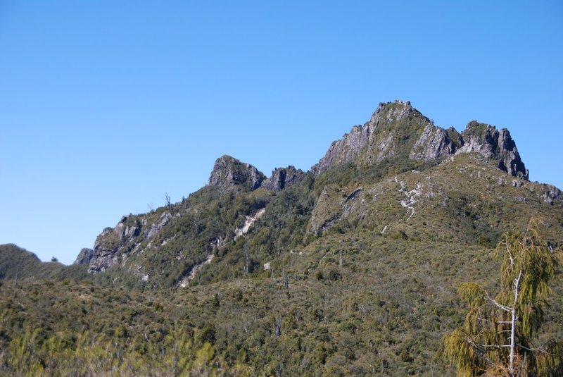 DSC_5721.JPG