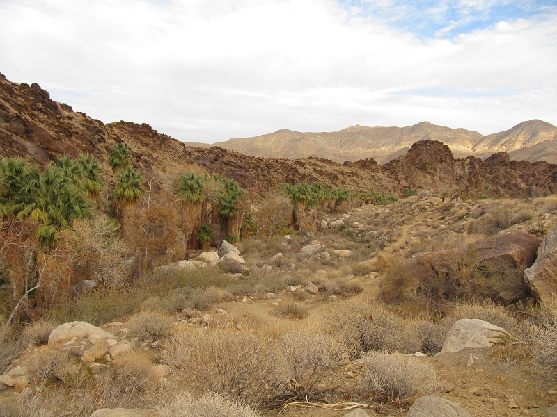 IMG_0507 - Copy.JPG