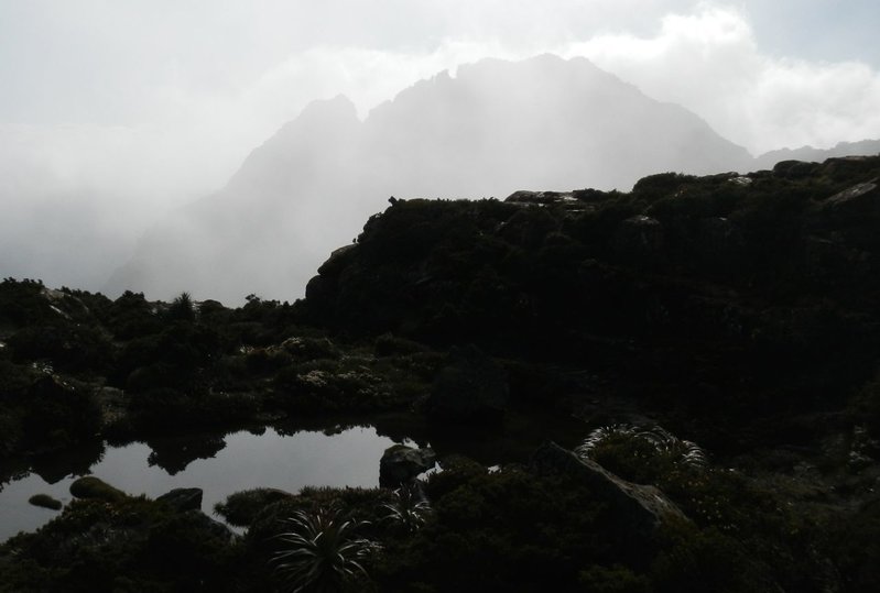 8. The Notch Lot in mist.jpg