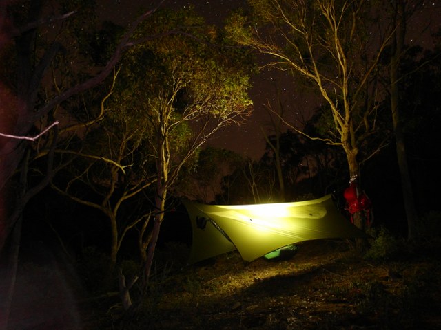 Peregrine Tarp.JPG