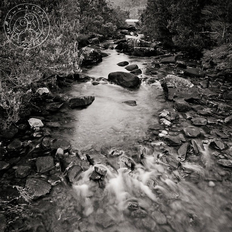 20150215_0050 copy.jpg
