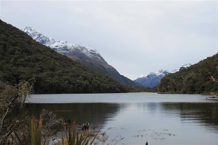 New Zealand 358 (Custom).JPG