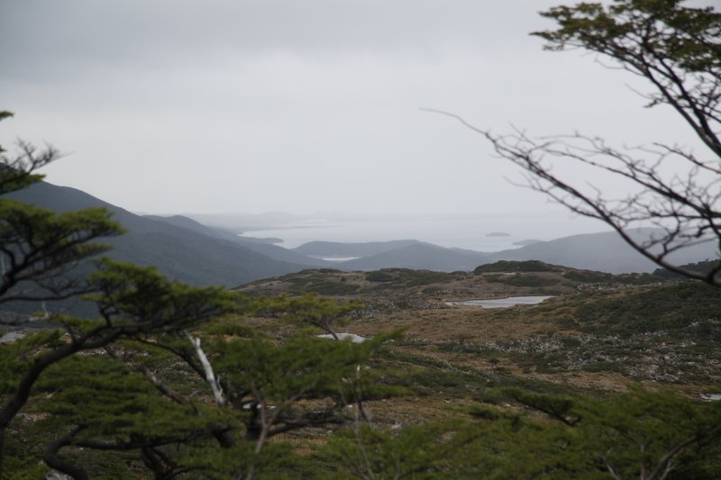 Image 2.jpg