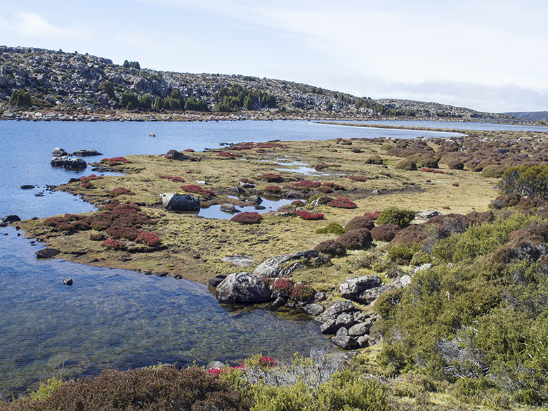 20150408_1604 bushwalk.jpg
