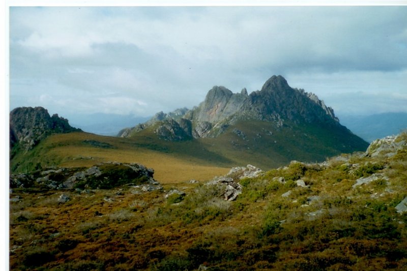 bwtas photo.jpg