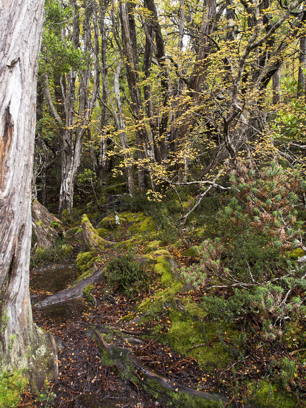 P4160314 HHforBWA.jpg